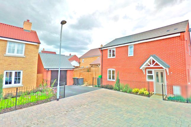 Thumbnail Detached house to rent in Meadfoot Place, Bedford