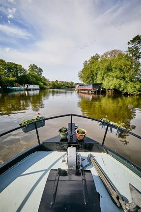 Eendracht II, Thistleworth Marine, Isleworth photo 3