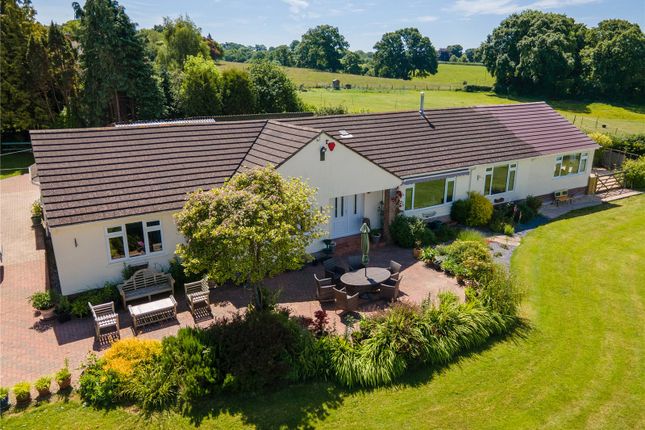 Thumbnail Bungalow for sale in Chaffcombe, Somerset