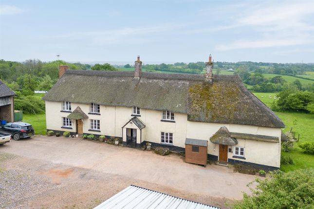 Little Clyst William Farm, Cullompton photo 3
