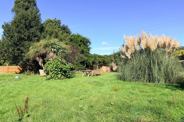 Turkey Farm, St. Marys Lane, Bexhill-On-Sea photo 4