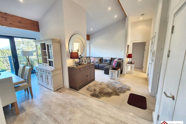 Open Plan Kitchen- Lounge- Dining