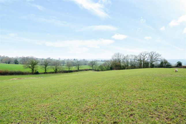 Land for sale in Hawkchurch, Axminster