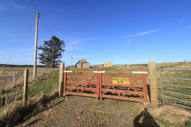 Land for sale in Honeysuckle Barn, Camster Road, Roster