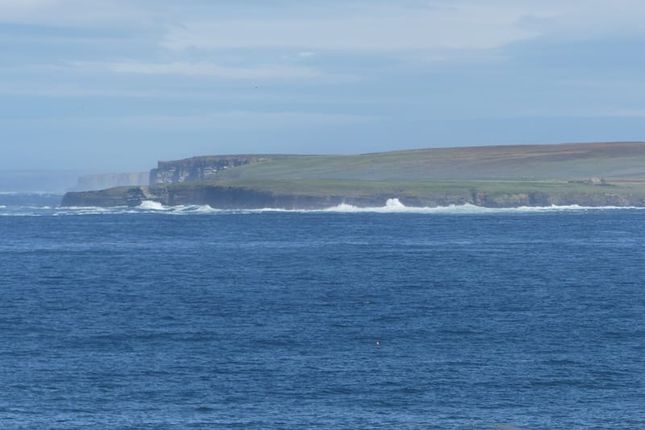 Braes of Gills, Wick photo 4