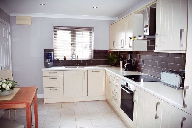 Thumbnail Terraced house for sale in Cannington Road, Tiverton, Devon