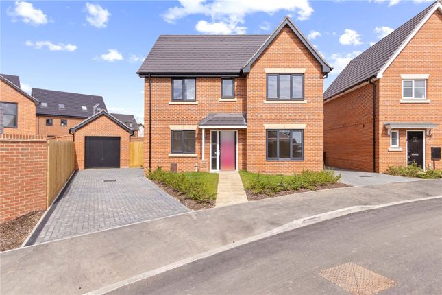 Thumbnail Detached house for sale in Cornfield Way, West Broyle, Chichester, West Sussex