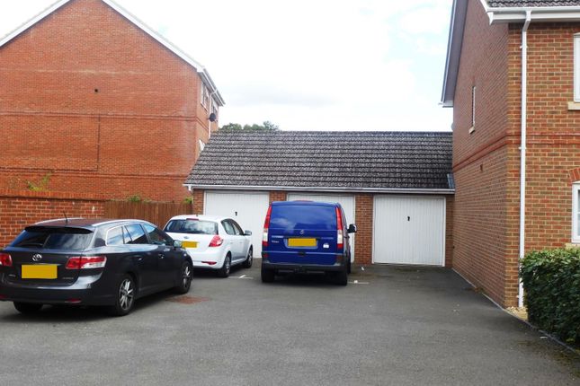 12, SALISBURY photo 2
