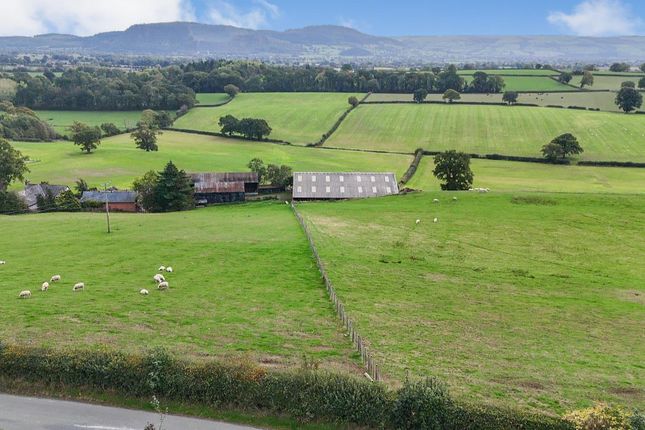 Views From The Property