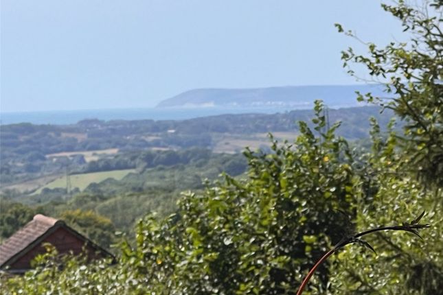 View 5