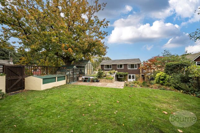 25, Copse Avenue, Farnham photo 4