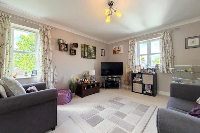 16, Massey Road, Tiverton photo 2