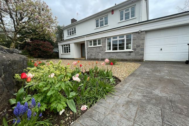 Property to rent in St. Fagans Drive, St. Fagans, Cardiff