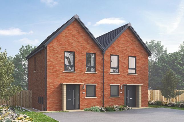 Thumbnail Semi Detached House For Sale In The Coleford At Stopes Road Thumbnail Semi Detached House For Sale In The Coleford At Stopes Road