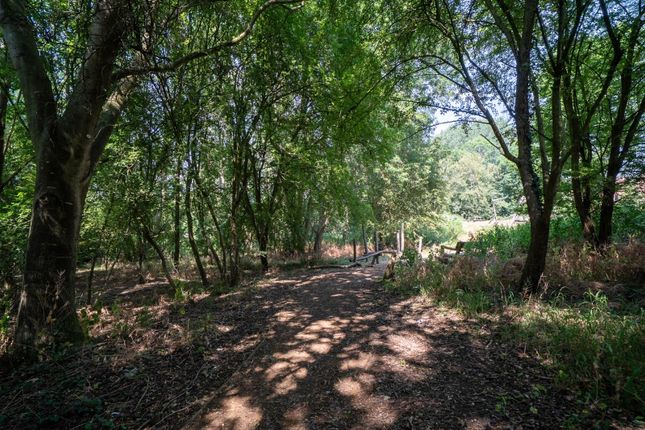 54, Stewkley Road, Buckinghamshire photo 4