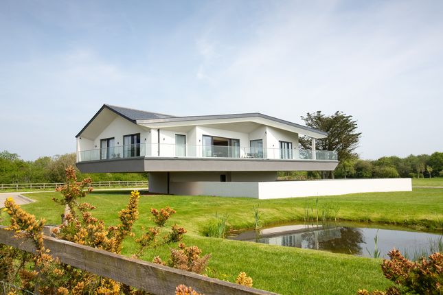 Thumbnail Detached house for sale in Seal Point, Maylandsea, Essex