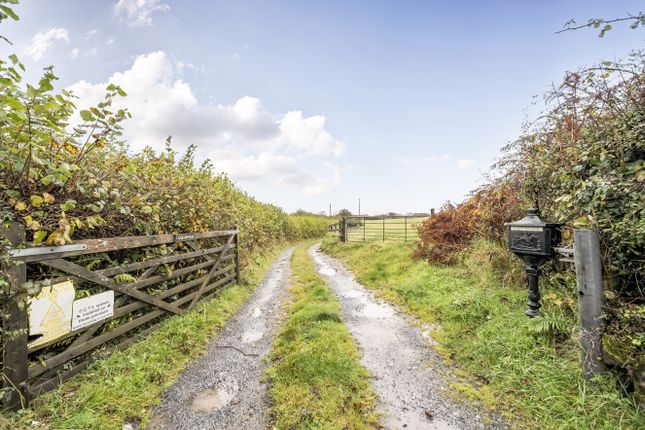 CAEGWYLLT, KIDWELLY photo 4