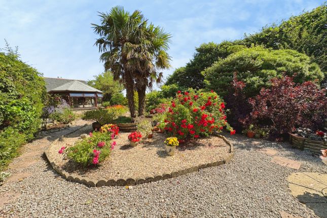 The Brambles, Middle Colenso, Penzance photo 3