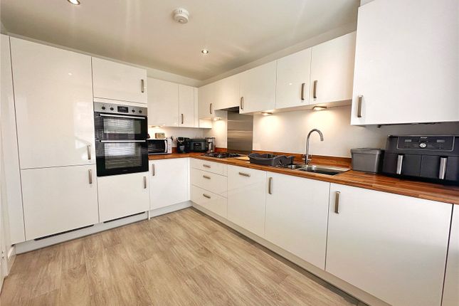 9, Watt Drive, Middleton photo 4