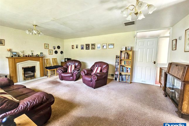 34, Pine Grove, Birmingham photo 2