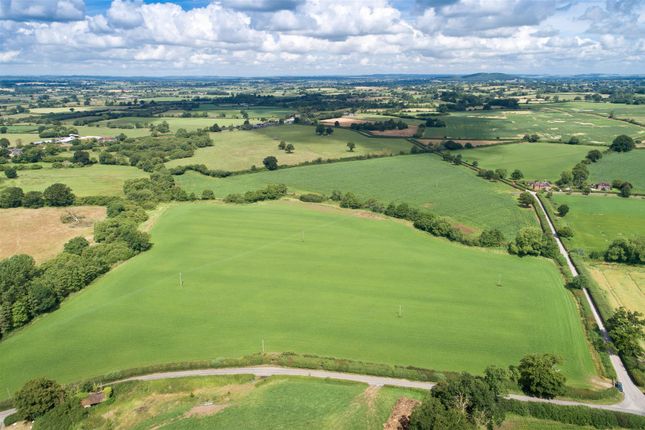 Thumbnail Land for sale in Land At Peggs Farm, Farrington, Blandford