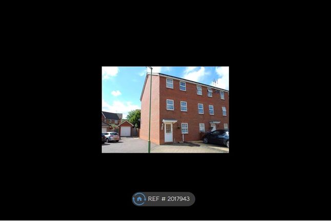Semi-detached house to rent in Cleveland Way, Stevenage