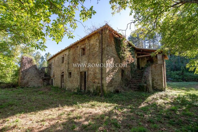 Thumbnail Property for sale in Monte Santa Maria Tiberina, Umbria, Italy