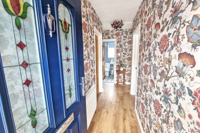 53, Castlewood Avenue, Newton Abbot photo 3