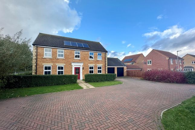 Thumbnail Detached house for sale in Thorney Road, Eye, Peterborough