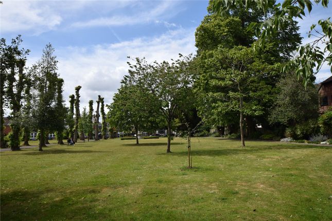 21, Lady Place Court, Alton photo 3