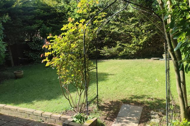 7, Furzeholme, Worthing photo 3