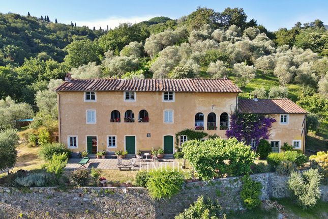 Farmhouse for sale in La Bella, Lucca (Town), Lucca, Tuscany, Italy