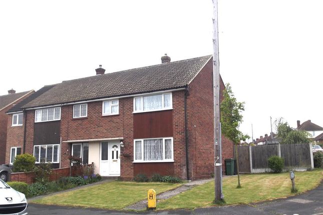 Thumbnail Property to rent in Connaught Gardens, Braintree