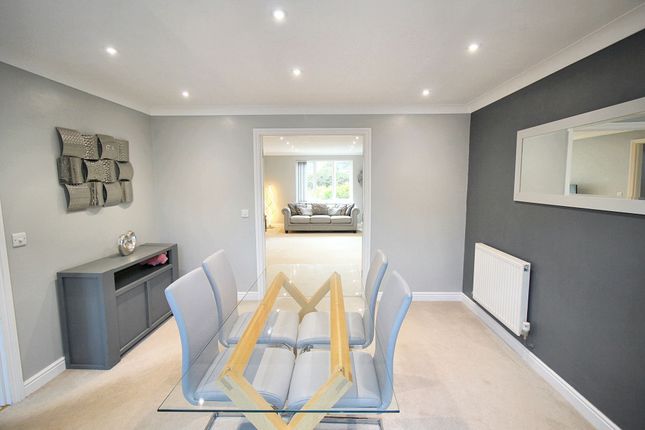 25 Luscombe Way, Norwich photo 4