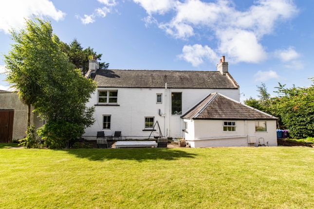 8, Borrowfield Road, Montrose photo 4