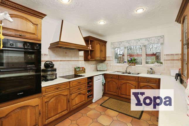 Thalia, Curdridge Lane, Southampton photo 5