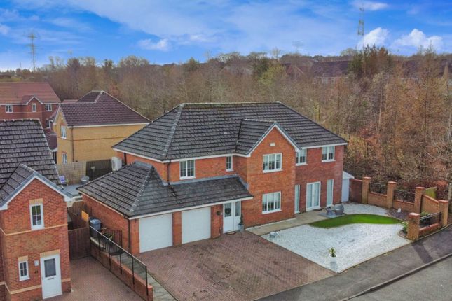 Thumbnail Detached house for sale in Aberdour Court, Blantyre