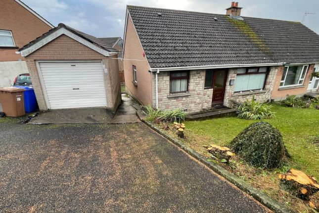Thumbnail Semi-detached house to rent in Saratoga Avenue, Newtownards, County Down