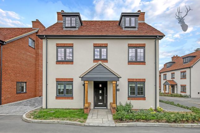 Thumbnail Detached house for sale in Blasford Hill, Little Waltham, Chelmsford