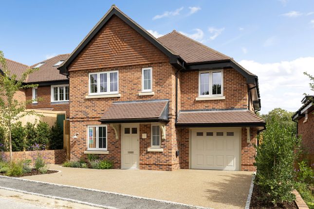 Plot 3 Photo