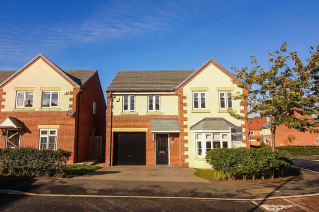 Thumbnail Detached house for sale in Ayle Grove, Whitley Bay