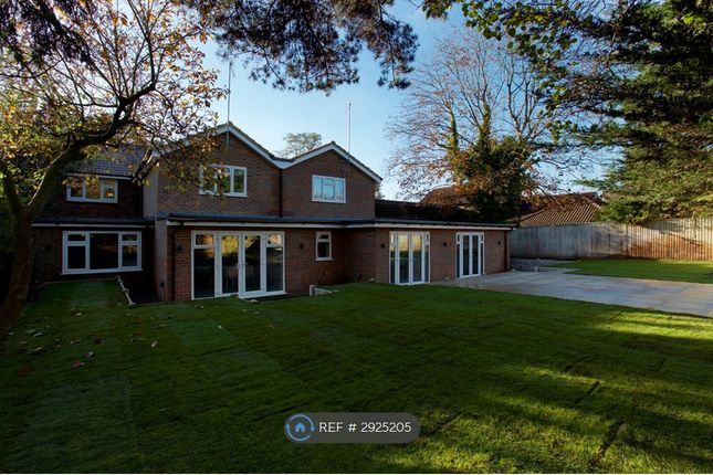 A The Green, Bracknell, Bracknell photo 5