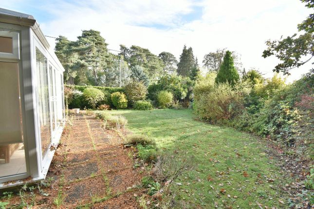17, Pinewood Road, Ferndown photo 4