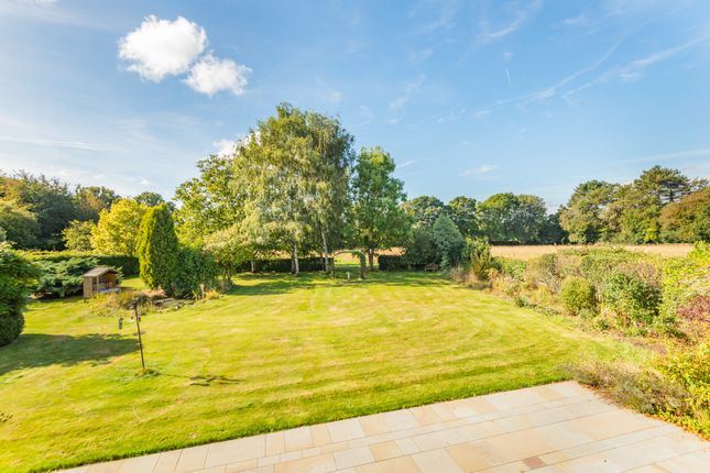 Bloomfield Farm, Bellingdon, Chesham photo 3