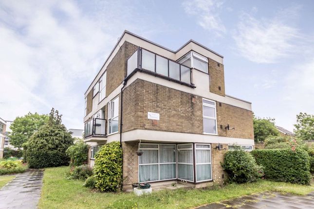 Appleton shooting may 15 Houses for sale peregrine road sunbury