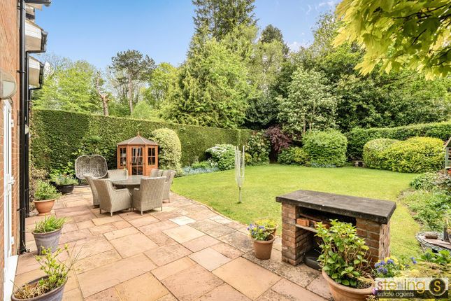 Tulip Tree House, 30b Chipperfield Road, Bovingdon photo 4