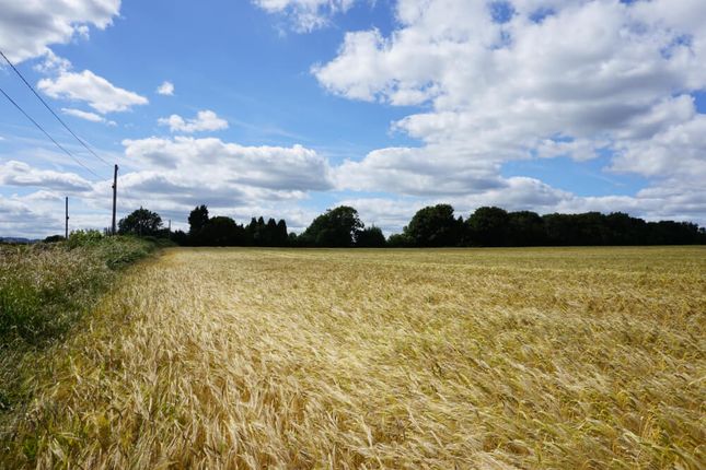 Thumbnail Land for sale in Padley Wood Lane, Pilsley, Chesterfield, Derbyshire