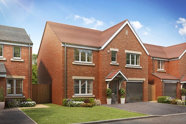 Thumbnail Detached house for sale in "The Winster" at Barnsdale Drive, Hampton, Peterborough