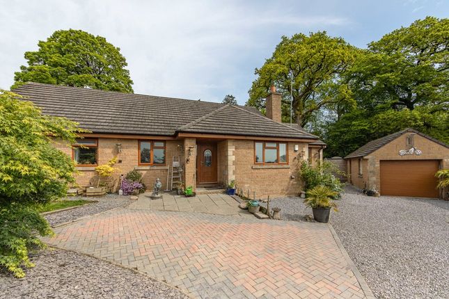 Thumbnail Bungalow for sale in Kingsmead Close, Holcombe, Radstock