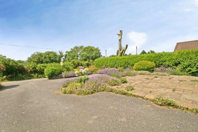 Keres,, Tolcarne Road, Camborne photo 2